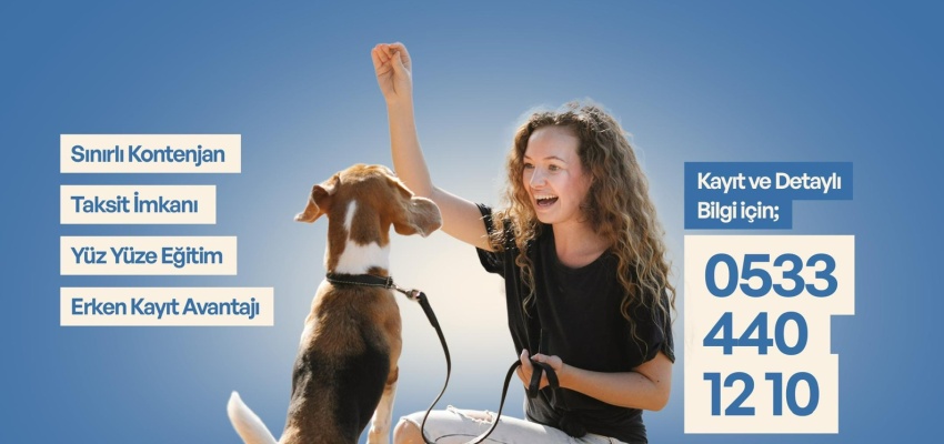 Dedektör Köpek Eğitmenliği Eğitimi